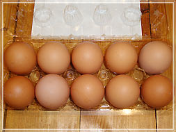 目賀養鶏場の“おいしい卵”紅いすみ（めがラン卵）10個パック 内部
